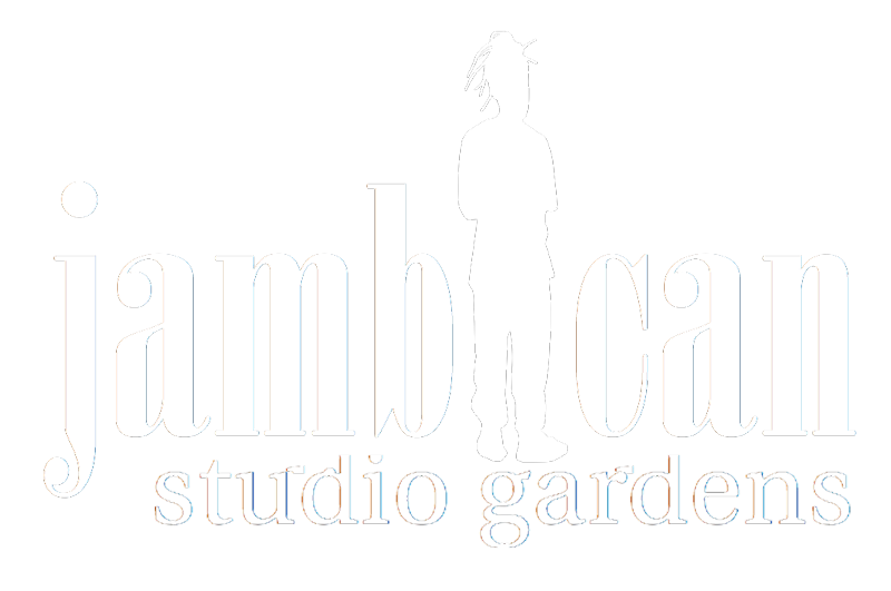 Jambican studio gardens